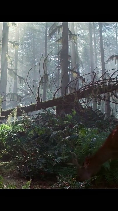 The Dinosaur my best movie