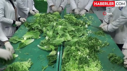 Meslek Lisesi Öğrencileri 18 Bin Kişiye Günlük Yemek Üretiyor