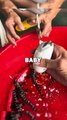 RESCUING BABY CROCODILE! #cuteanimals #animals #cuteanimals #crocodile #animalrescue #animalstories