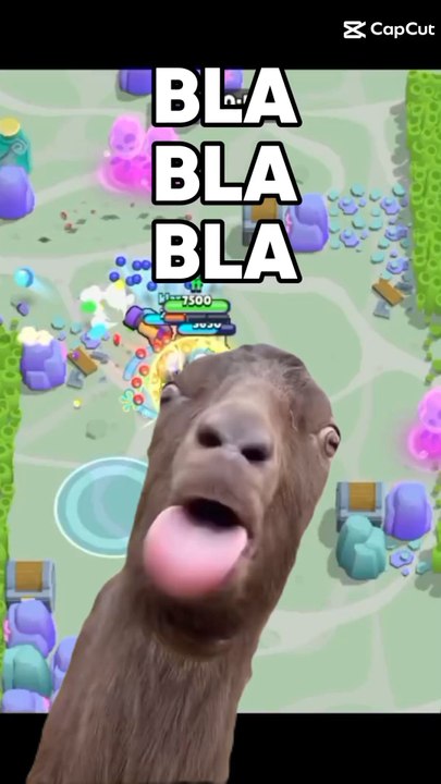 Brawl stars Bla Bla Bla