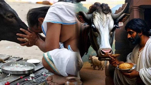 Gopashtami 2024: गोपाष्टमी के दिन क्या करना चाहिए क्या नहीं | Gopashtami Ke Din Kya Karen Kya Nahi ?