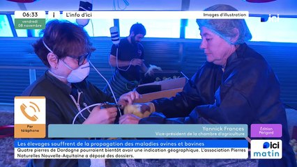 08/11/2024 - ICI Matin France Bleu Périgord en vidéo