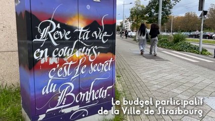 Budget participatif #3 : proposez vos idées pour votre quartier de Strasbourg jusqu'au 17 novembre 2024 !
