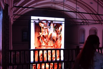 Antalya Kültür Yolu Festivali'nin sergileri de büyülüyor