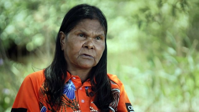 Researchers testing cost of regenerating mangrove wetlands
