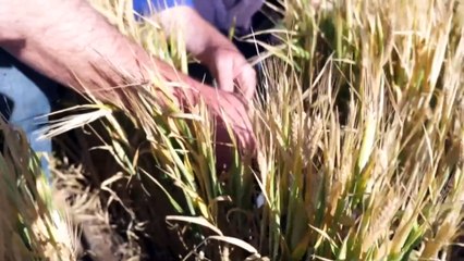 Mineral sand mine in Victoria’s west to produce uranium for export