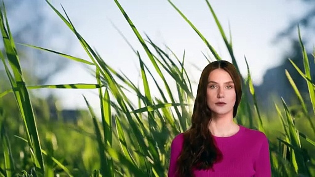 Weather video