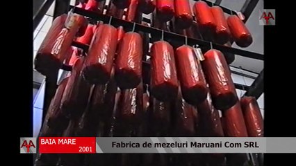 BAIA MARE 2001 - Fabrica de mezeluri Maruani Com SRL