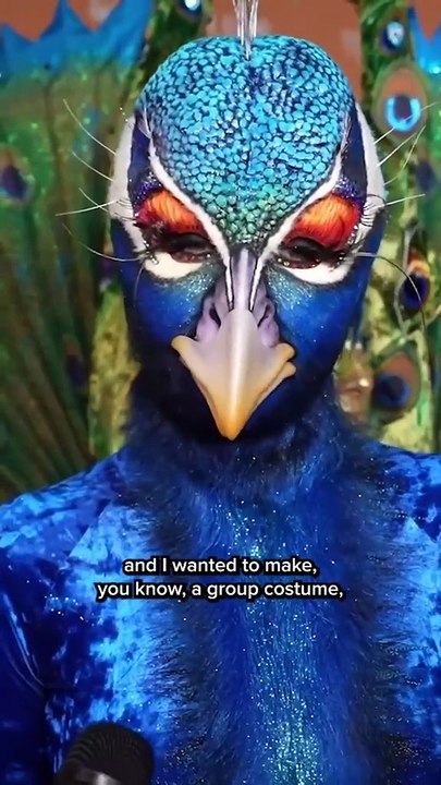 Funny vedeos .parot