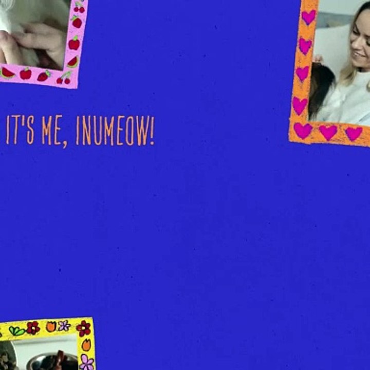 InuMeow Store | Buy Pet Accessories | Grooming Kits | Foods and Treats