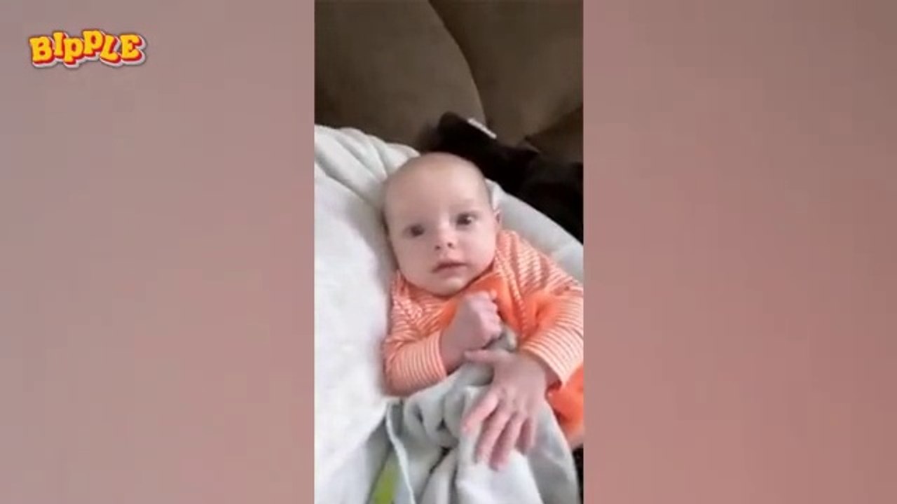 Funny videos