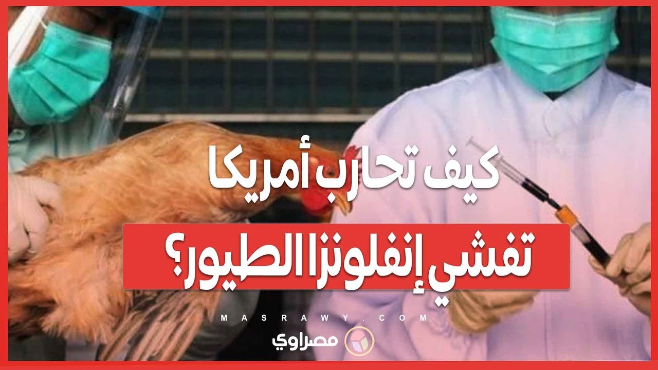 الصحة الفيدرالية تدعو لاختبارات إضافية في المزارع .. كيف تحارب أمريكا تفشي إنفلونزا الطيور؟