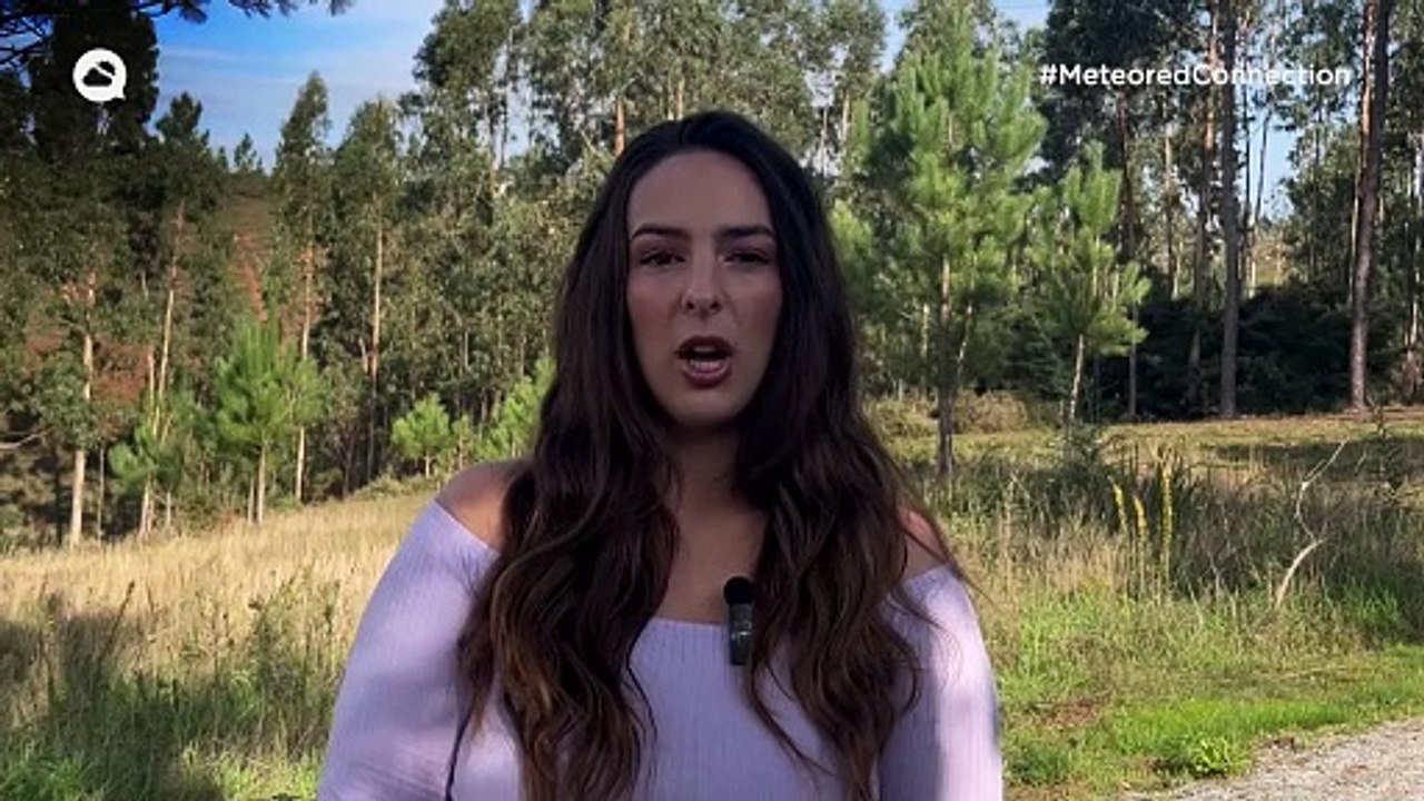 Verão de São Martinho em Portugal: temperaturas elevadas mais uns dias, mas já há data para o regresso do frio