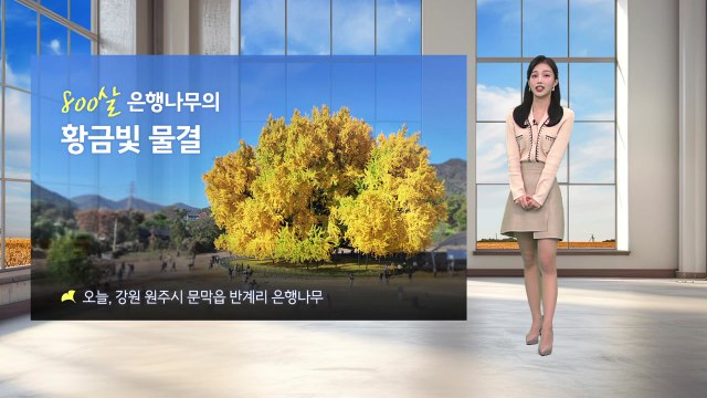 [이슈날씨]주말 대체로 맑고 온화… 큰 일교차, 안개 유의 / YTN