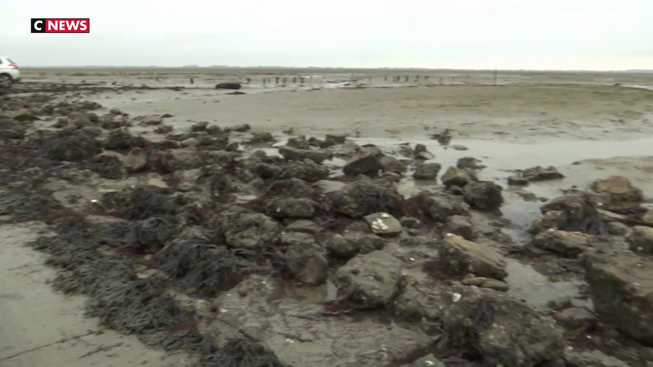 Passage du Gois : les îles de l'Atlantique récl...