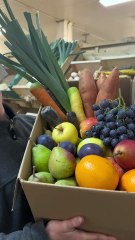 Happy Saison Isle sur la Sorgue