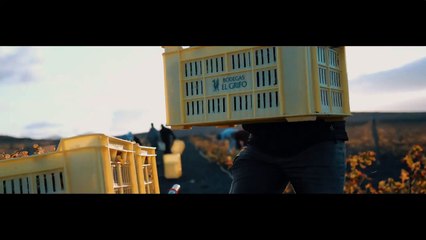 Proyecto Vendimia de Invierno en Playa Quemada (Lanzarote) __ Bodegas El Grifo