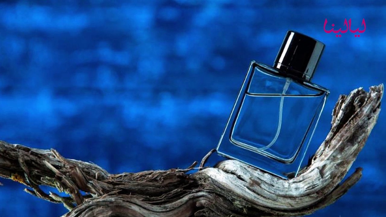 عائلات العطور يوتيوب