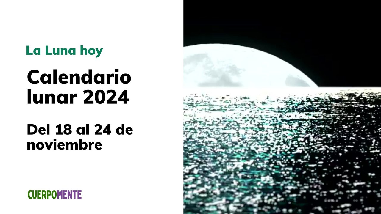 Luna del 18 al 24 de noviembre 2024