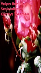 Şiir-Biri Var ki Doyamadım - Yalçın Benlican Seslendiren : Cüneyt Toraman