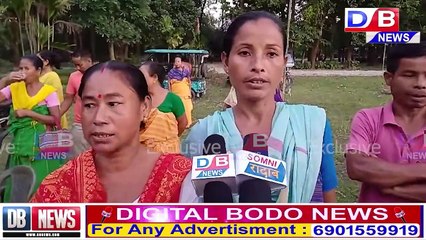 प्रमद बर’नि दैदेन्नाय UPPL सरकाराव जेबो अनसुंथाय मोनिनि सुबुंफोरनि अजद ।