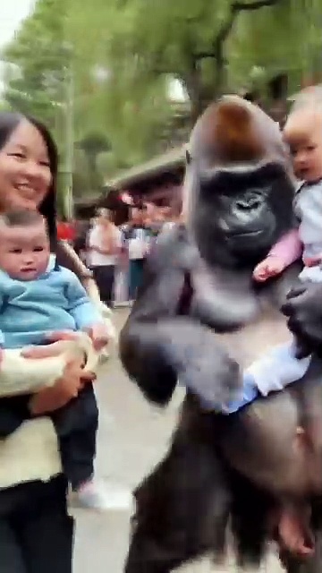 Global trading and sourcing company