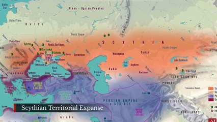 The Amazons: Fact or Fiction?