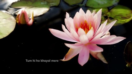 "Tum Hi Ho Khayal Mere"-hindi-romantic song