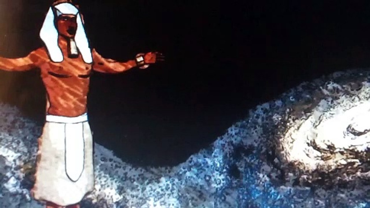 Primordial Advanced Cosmology (PAC)