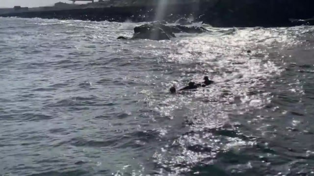 경주 갯바위서 낚시하던 60대 바다에 빠져...해경이 구조 / YTN