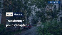 Revégétaliser les villes pour s'adapter au réchauffement climatique