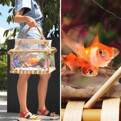 Create a Stylish DIY Portable Fish Tank—Your Fish's Trendy New Home! 🐠💧