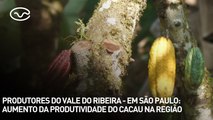 Produtores do Vale do Ribeira - em São Paulo: aumento da produtividade do cacau na região