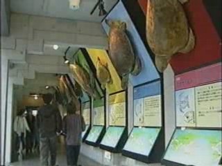 日和佐観光ビデオ