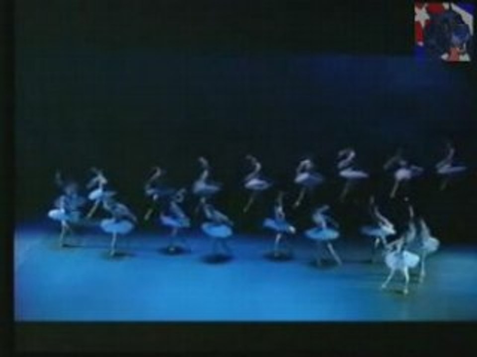 La Bayadera Opera de Paris Ballet By BurronAzul.net
