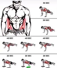 The most effective series of exercises classified according to the muscles they work 🔥