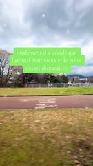 Nous pouvons sortir des puits les plus profonds en arrêtant jamais