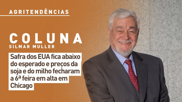 Safra dos EUA fica abaixo do esperado e preços da soja e do milho fecharam a 6ª feira em alta em Chicago