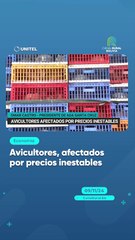 Avicultores, afectados por precios inestables