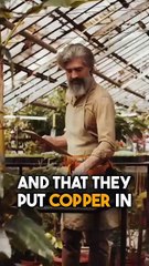Harnessing the Power of Copper to Increase Positive Energy