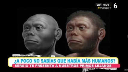 Estos serían nuestros primos lejanos