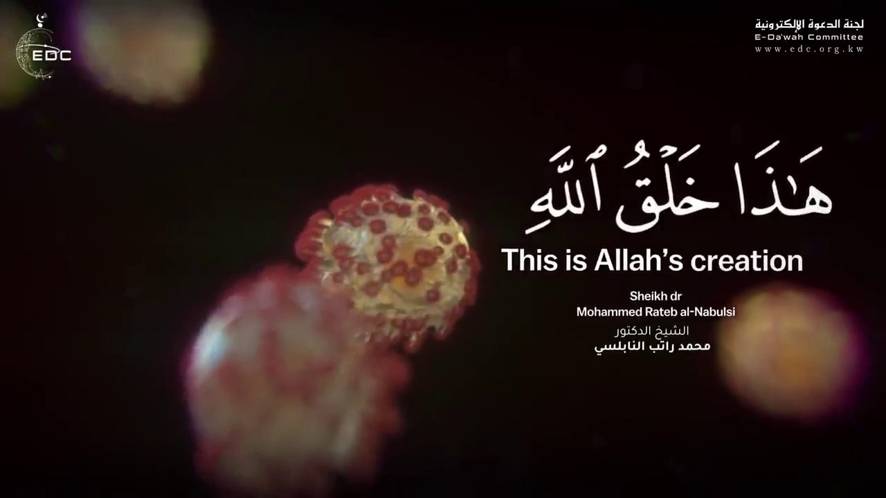 حقيقة علمية مبهرة ( إبداع الخالق ) الدكتور محمد راتب النابلسي