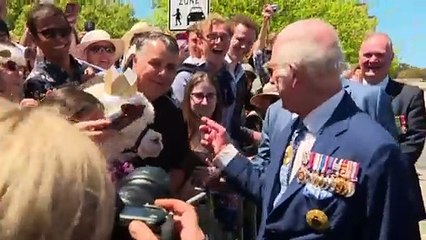 Hephner the alpaca comforts palliative care residents