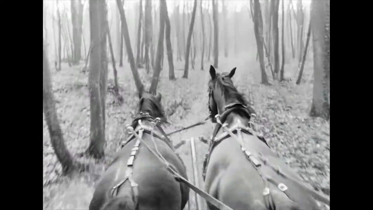 Strasek, der Vampir | movie | 1983 | Official Trailer