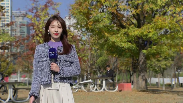 [날씨] 추위 풀린 주말, 맑고 온화...도심 속 단풍 나들이 / YTN