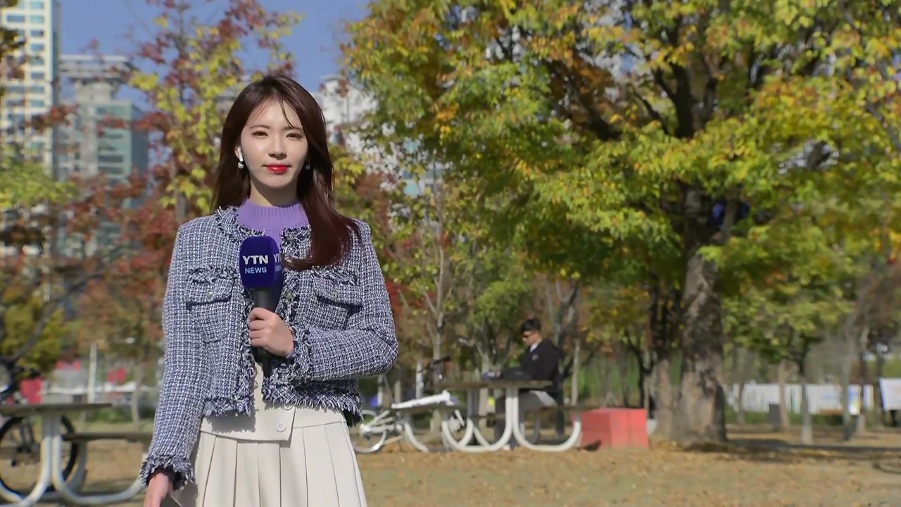 [날씨] 추위 풀린 주말, 맑고 온화...도심 속 단풍 나들이 / YTN