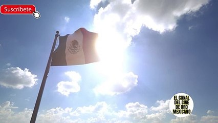 01759CCM ÓSCAR PULIDO Se quedo en la ruina por apoyar la carrera DE UNA joven actriz