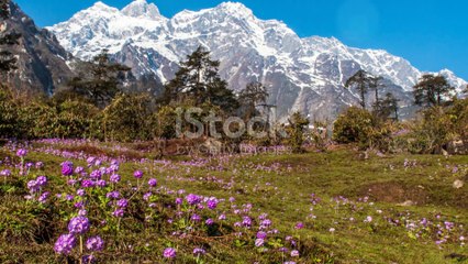 Land of High Passes - Exploring Ladakh