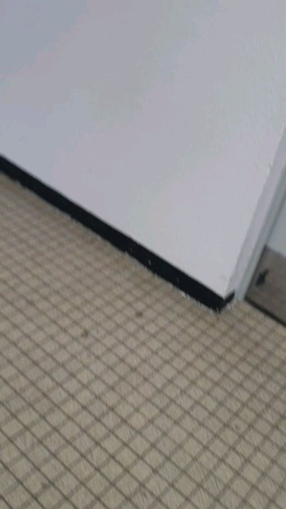 salle de repas         de l'AFR                        accueil fraternel Roubaisien                Roubaix
