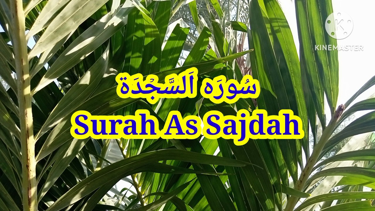 Surah As Sajdah - quran recitation - quran pak ki tilawat - learn quran